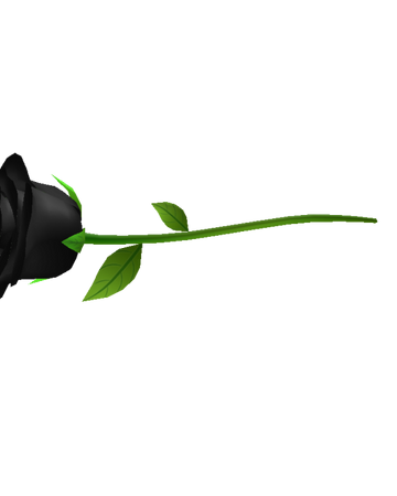 Catalog Black Rose 1 0 Roblox Wikia Fandom - black rose evening purse roblox
