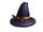 Bewitching Cat