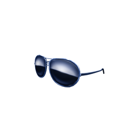 Blue Bird Shades