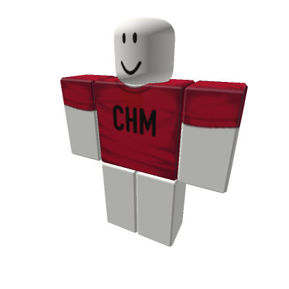 T-shirt Template With Scrambled Eggs and Striped Pants for Roblox