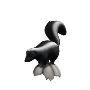 Fragrant Skunk Friend