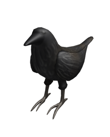Shoulder Crow Roblox Wiki Fandom - videos and the crow in roblox