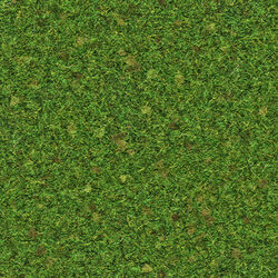 The Textures Resource - Full Texture View - Roblox - Green Wistful Wink