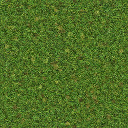 Grass Roblox Wiki Fandom - roblox old textures