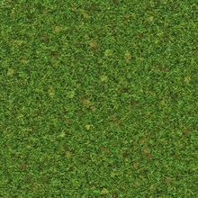 Grass Roblox Wikia Fandom - grass roblox texture
