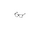 Reading Glasses