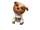 Puppy of the Week: Sweater Puppy
