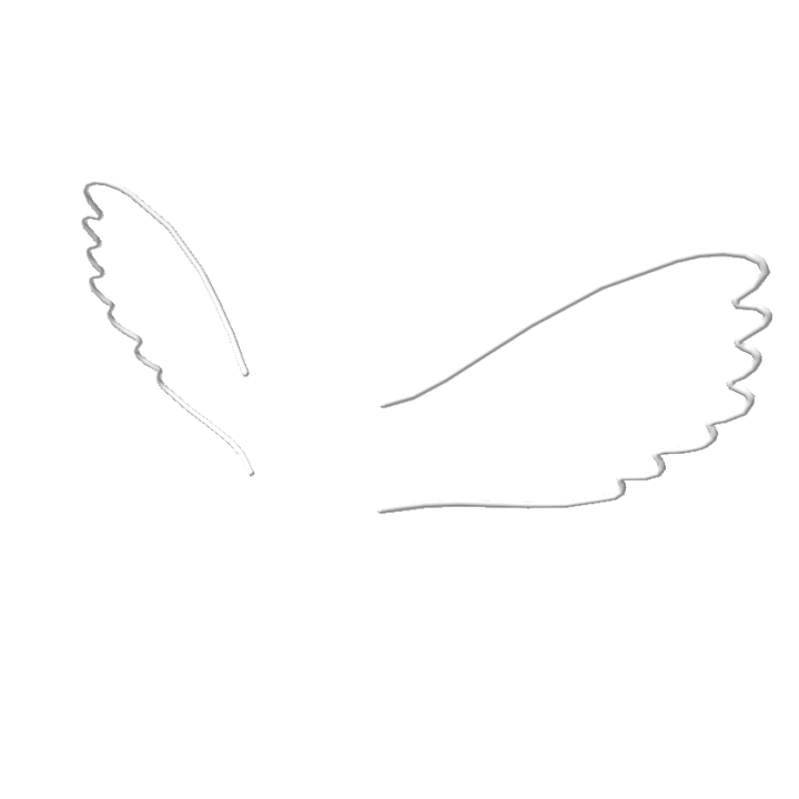 Doodle Angel Wings White Roblox Wiki Fandom - angel wings code for roblox