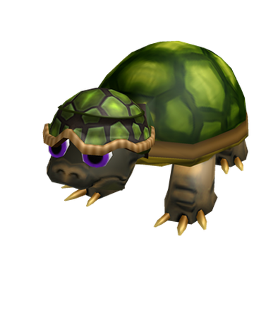 Crazy Turtle Friend Roblox Wiki Fandom - roblox turtle small