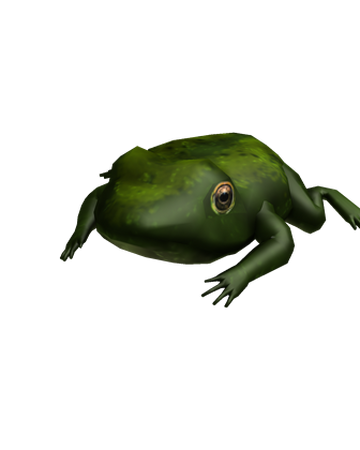 frog face roblox