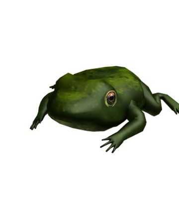 Catalog Warty Frog Roblox Wikia Fandom - catalog warty frog roblox wikia fandom frog roblox Catalog Warty Frog Roblox Wikia Fandom - frog roblox
