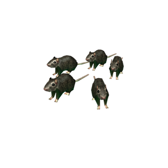 Roblox Promo Codes 2020 List Fandom List Of Expired Promotional Codes Roblox Wikia Fandom - roblox promo codes 2020 list fandom category2017 users roblox wikia fandom powered by wikia Roblox Promo Codes 2020 List Fandom List Of Expired Promotional Codes Roblox Wikia Fandom - category2017 users roblox wikia fandom powered by wikia