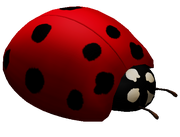 Ladybug