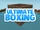 Nexus Development/Ultimate Boxing