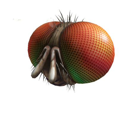 There's something new buzzing on @Roblox.  Prime members will look  super fly when they claim the Freaky Fly Face avatar accessory…