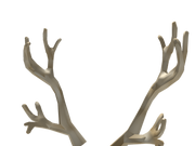 Category Antlers Roblox Wikia Fandom - bone antlers roblox