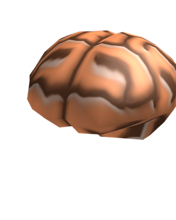 Brain Roblox Wiki Fandom - roblox brain meme