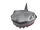 Defeated Shark