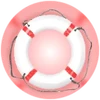 IIS Lifesaver Badge