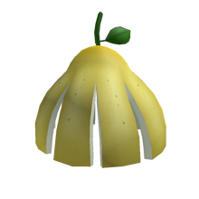 Pomelo Peel Hat