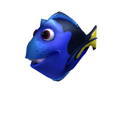 Doryです❗️❗️❗️ Dory | Roblox Wiki | Fandom