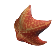 Starfish Mask