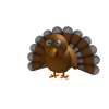 Turkey Shoulderfriend