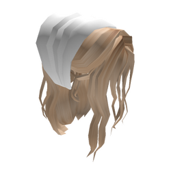 Category Hair Accessories Roblox Wikia Fandom hair accessories roblox wikia fandom