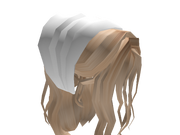 Category Hair Accessories Roblox Wikia Fandom - roblox pictures blonde hair
