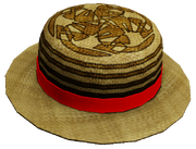 Patterned Straw Hat.png