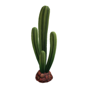 Saguaro Hat