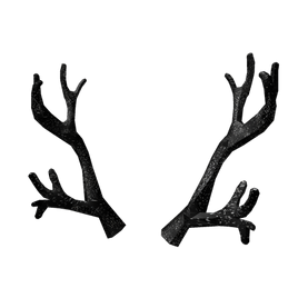 BlackIronThiny