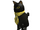 Business Cat (shoulder accessory)