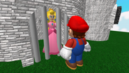 Be Mario and save Princess Peach