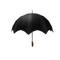Magical Umbrella