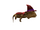 Wizard Lizard