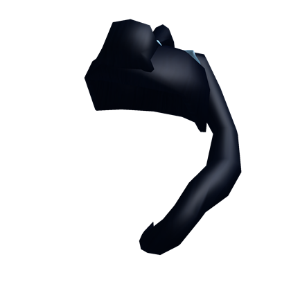 Black Ponytail, Roblox Wiki