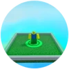 Duelist