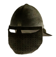 Helm with Face Guard