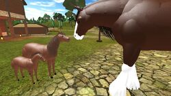 When It Wow (Roblox: Horse World):> : r/a:t5_2g6638