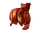 Chestnut Bun