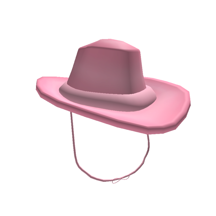 Pink Cowgirl Hat Roblox Wiki Fandom - roblox hats pay