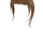 B&B Layered Bangs in Caramel Ombre