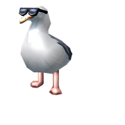 Too Cool Seagull