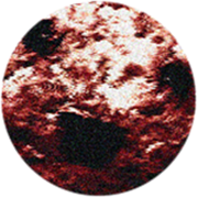 Track 03 Badge Icon