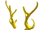 Gold Antlers