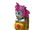 Amy Backpack Buddy