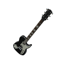 WDW Electric Guitar - Why Don’t We.png