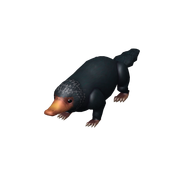 Niffler Companion (New)