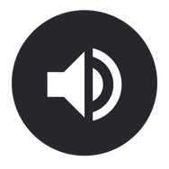 Audio Icon 2024